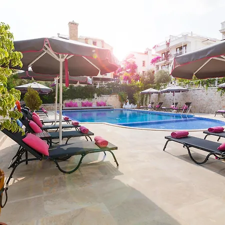 Eco 301 * Kalkan